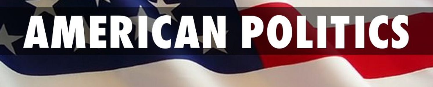 American Politics
